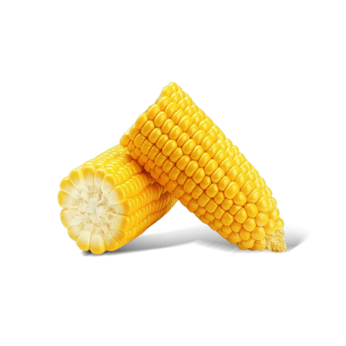 Corn